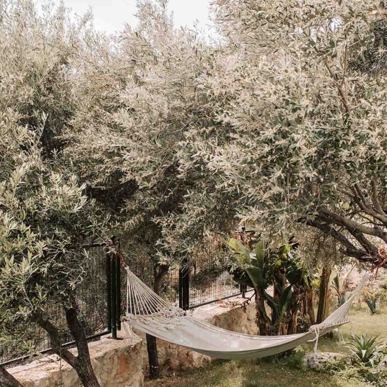 Vendita di piante online Giardini d'autore